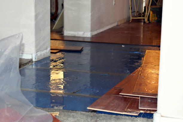Professional Basement Flood Cleanup technician working in Kettlersville, OH